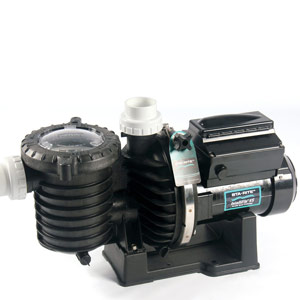 Variable speed pool pumps